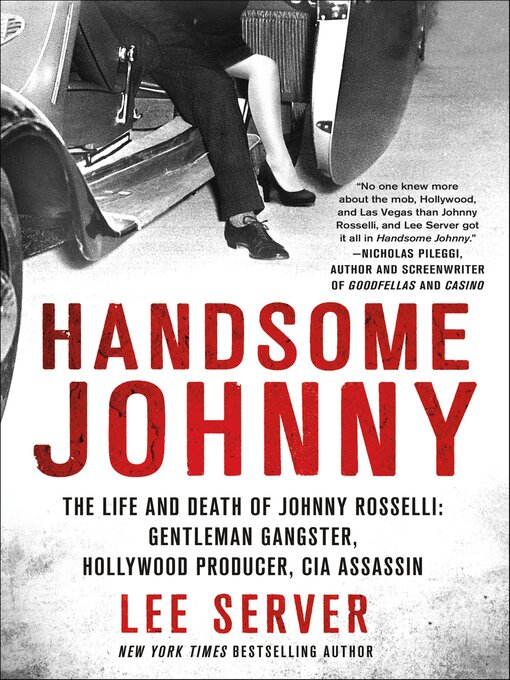 Title details for Handsome Johnny by Lee Server - Wait list